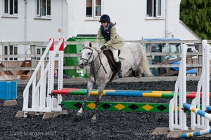 Class 4 - Fences 2'3 to 2'6